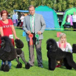 IMG-20151028-WA0000